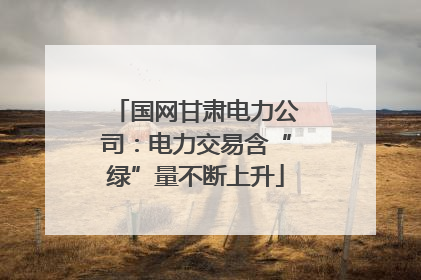 国网甘肃电力公司：电力交易含“绿”量不断上升